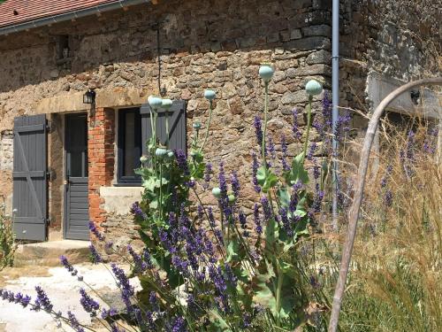 una casa in pietra con fiori viola di fronte di Gîte de la Pisserotte a Montigny-sur-Armançon