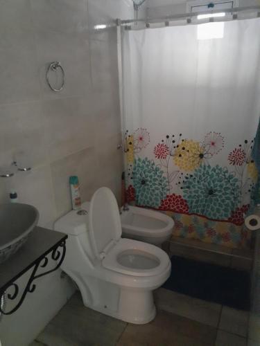 a bathroom with a toilet and a shower curtain at Mendoza, Cacheuta, montaña in Ciudad Lujan de Cuyo