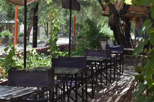 a row of tables and chairs in a garden at La Enramada in Amaichá del Valle