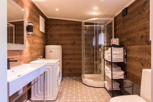W łazience znajduje się prysznic, umywalka i toaleta. w obiekcie Sharming cabin in Sund w mieście Sund