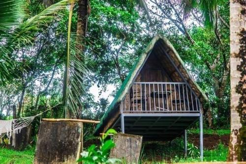 una pequeña casa en medio de un bosque en Camp Mayagay Tanay Rizal, en Sampalok
