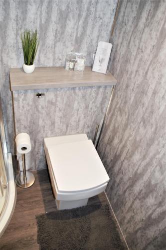 a bathroom with a white toilet and a wooden shelf at The Windy Roost in Occumster
