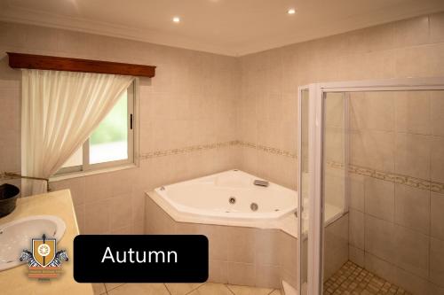 a bathroom with a white sink and a shower at All Seasons Boutique Hotel in Pretoria