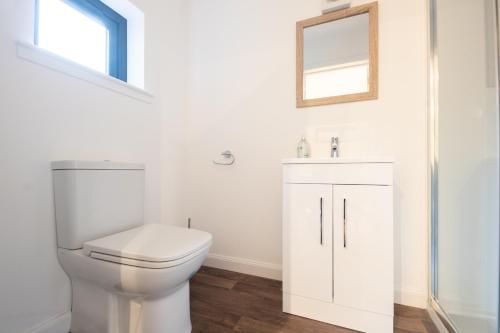 a bathroom with a toilet and a sink and a mirror at Little Wyvis Lodge in Garve