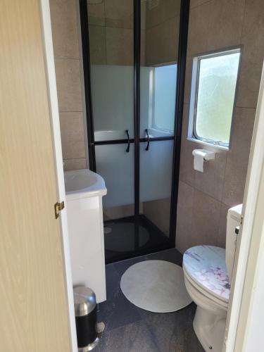 een badkamer met een douche en een toilet bij Camping De Blauwe Reiger in Pieterzijl