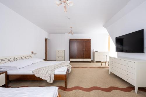 1 dormitorio con 2 camas y TV de pantalla plana en Willa Bór, en Zakopane