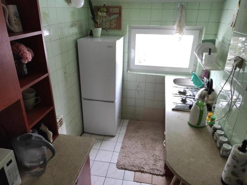 a kitchen with a white refrigerator and a window at Home Stay Słotwińska in Krynica Zdrój