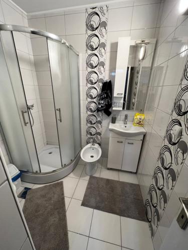ein Bad mit einer Dusche, einem WC und einem Waschbecken in der Unterkunft Aleksandra in Subotica