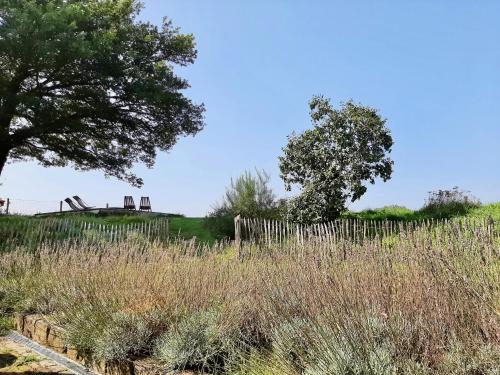 a field of tall grass with a fence and trees at Lodge op de Berg in Bree