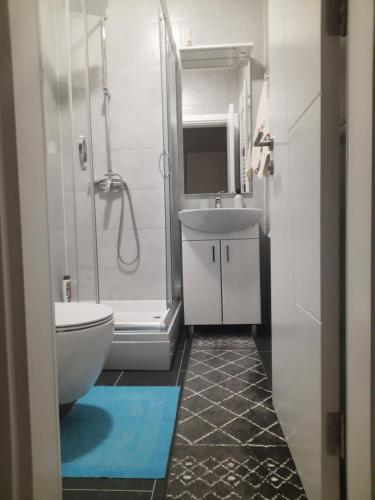 uma casa de banho com um chuveiro, um WC e um lavatório. em Apartman White Wings Bjelasnica em Bjelašnica