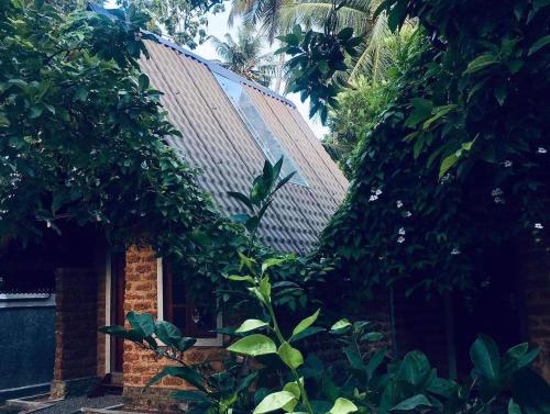 a green bird sitting on a branch in front of a house at Sky View Cabin Unawatuna in Unawatuna