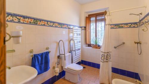 W łazience znajduje się toaleta, umywalka i prysznic. w obiekcie La Molina de la Campana Villaviciosa de Córdoba by Ruralidays w mieście Villaviciosa de Córdoba