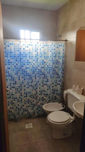 een badkamer met een toilet en een blauwe betegelde douche bij depto por dia in General Roca