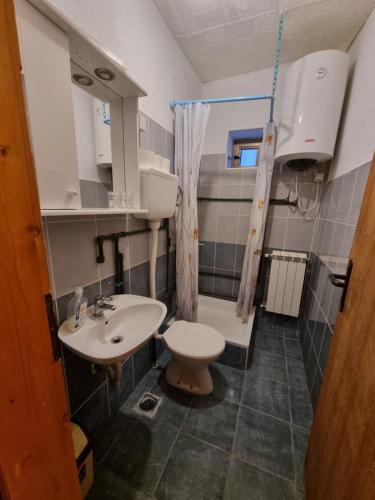 La petite salle de bains est pourvue de toilettes et d'un lavabo. dans l'établissement Apartments Đurđić, à Žabljak