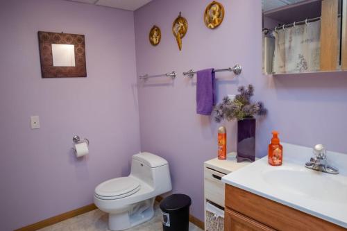 ein Badezimmer mit einem weißen WC und einem Waschbecken in der Unterkunft TheLake House in Tomahawk