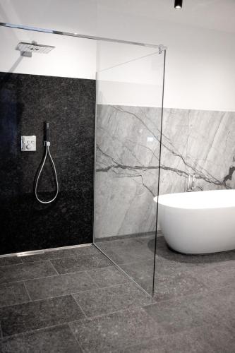 a bathroom with a shower and a sink and a tub at Trautesheim Ferienwohnungen in Wangen im Allgäu