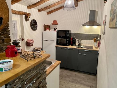 a kitchen with a white refrigerator and a sink at Ouche de Gravoire Gîte in Vallet