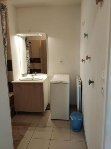 une salle de bain avec un lavabo, des toilettes et un miroir dans l'établissement L'Envol - 80 M2 - 40 M2 balcon - 2 parkings privés, à Toulouse