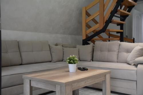 a living room with a couch and a coffee table at Miletic Villas in Despotovac