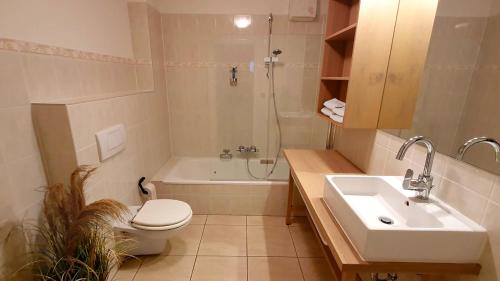 ein Bad mit einem WC, einem Waschbecken und einer Dusche in der Unterkunft Fewo-Suite "Horizonte II" in Ascheberg