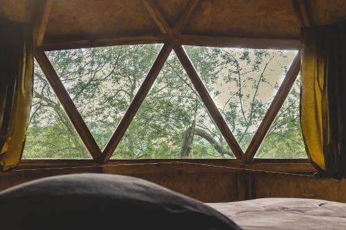 - une fenêtre dans une chambre avec un lit et des arbres dans l'établissement Quinta de Fagua, à Sutatausa