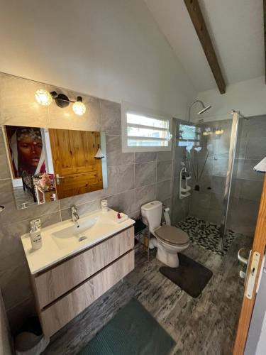 ein Bad mit einem Waschbecken, einem WC und einer Dusche in der Unterkunft Bienvenue chez Angie in Les Abymes