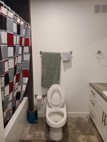a bathroom with a toilet and a shower curtain at Winnipeg Peace Home in Winnipeg