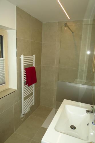 a bathroom with a sink and a glass shower at Ferienwohnung Wallner in Niedernsill