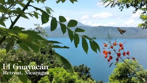 a butterfly on a tree with a view of a lake at El Guayacán in Valle la Laguna