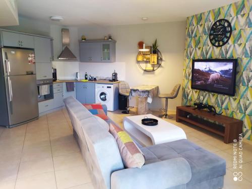 ein Wohnzimmer mit einem Sofa und einem TV sowie eine Küche in der Unterkunft Apartment Amdar Village with garden in Eilat