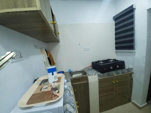 a small kitchen with a sink and a stove at Dinero Ruby - Studio Apartment in Lagos