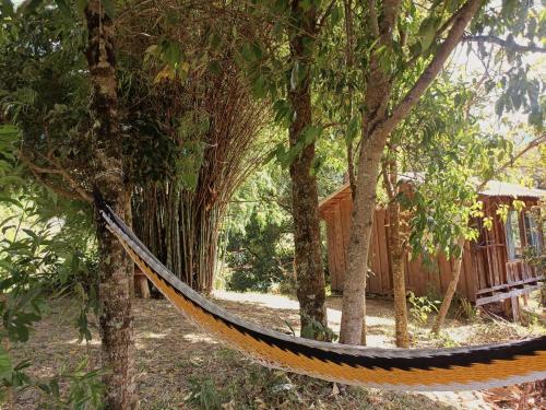 a hammock hanging from trees in a forest at Valchi Hospedaje de Montaña in El Copey