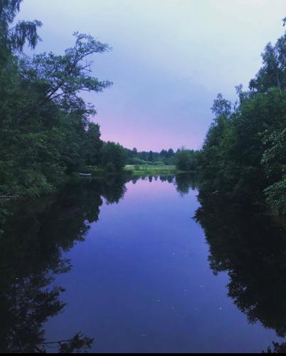 a river with trees on the side of it at Torpgården Önnerudsvägen 56 in Torsby