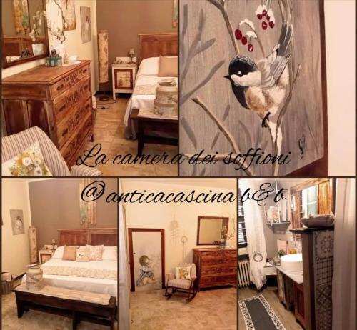 Gallery image of Anticacascina in Quarto