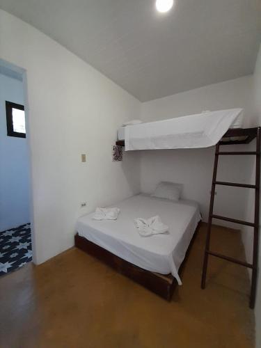 a bedroom with a bunk bed and a ladder at Hibiscus Garden in Santa Catalina