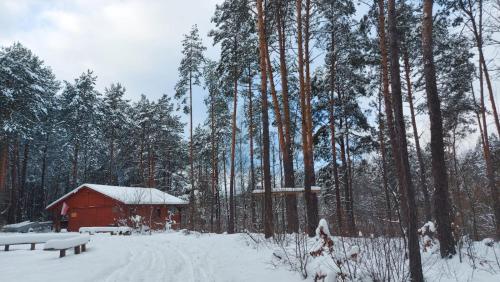 Czerwona kabina w lesie ze śniegiem w obiekcie Domki w Sosnowym Lesie w mieście Rembów