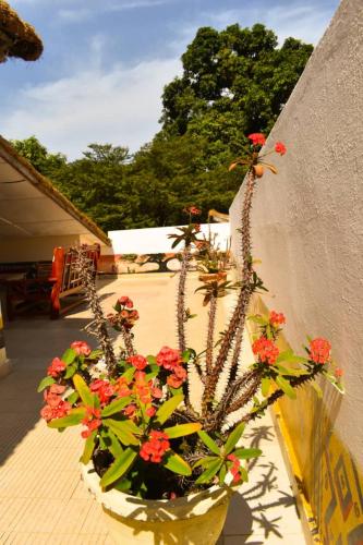 Сад в Casa Hotel Sinkiling Gambia