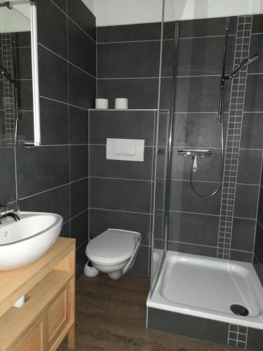 un bagno con wc, lavandino e doccia di Studio chez un vigneron au village au 2ème étage sans ascenseur a Villeneuve