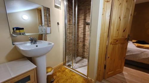 y baño con lavabo y ducha. en Forest Hills Lodge en Slane