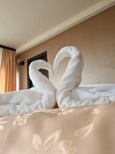 two swans making a heart on a bed at HOTEL CARMINA in Ranca
