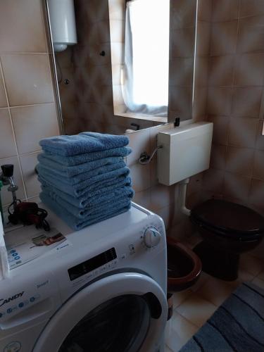 eine Waschmaschine mit Handtüchern darüber im Bad in der Unterkunft APARTMA 27 in Kranjska Gora