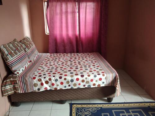 - un lit dans une chambre avec un rideau rose et une fenêtre dans l'établissement Philip and Son, à Queenstown