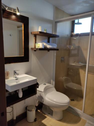 ein Bad mit einem WC, einem Waschbecken und einer Dusche in der Unterkunft Hostal Geosol in Antofagasta