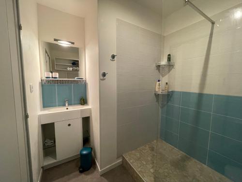 une salle de bain avec une douche, un lavabo et un miroir dans l'établissement Au petit Théâtre, appartement Cosy en hyper centre, à Boulogne-sur-Mer