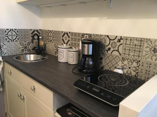 Cuisine ou kitchenette dans l'établissement le studio Champlain