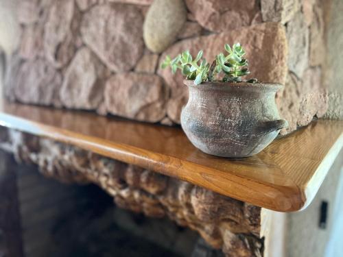 a plant in a pot sitting on a table at Ruca Apartment in Tupungato