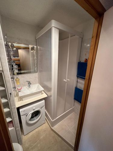ein Badezimmer mit einem Waschbecken und einer Waschmaschine in der Unterkunft Appartement Les Carroz d'Araches 4 à 6 couchages in Les Carroz d'Araches