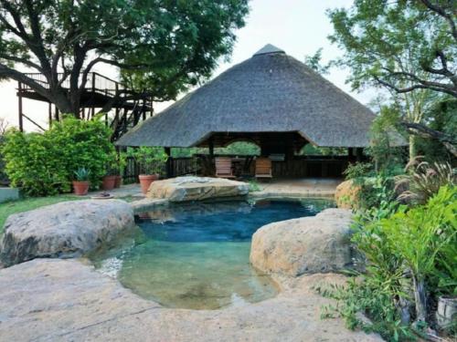 uma piscina com um gazebo e algumas rochas em Kum Kula Lodge em Hoedspruit