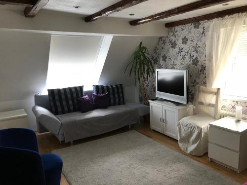 een woonkamer met een bank en een tv bij Ferienwohnung Romantica 1. und 2. OG in Schopfloch