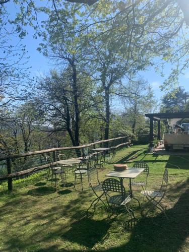 a group of tables and chairs in the grass at Il Riccio appartamento in Cernobbio